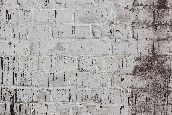 松软的砖白色肮脏的墙背景质感 — 图库照片