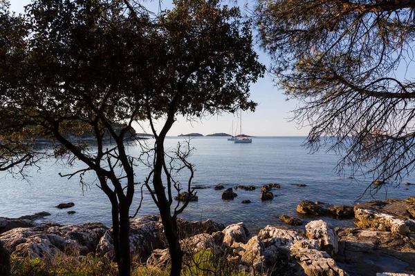 Gün Batımı Denizde Lüks Yat Rovinj Hırvatistan — Stok fotoğraf