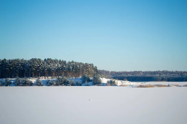 Zamarznięte Jezioro Lodu Śniegu Słoneczny Zimowy Dzień Lasu — Zdjęcie stockowe