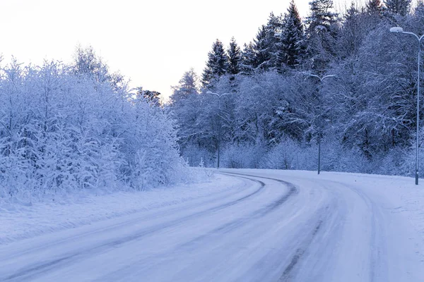 Winter Forest Met Weg Bedekt Met Sneeuw Tijdens Zonsondergang — Stockfoto