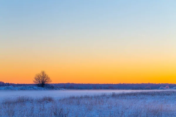 Zimowy Śnieżny Krajobraz Wsi Wieczorem Litle Mgła — Zdjęcie stockowe