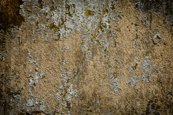 Камінь Бетонною Стіною Текстури Будонг — стокове фото