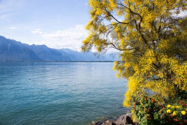 Dağlar ve Cenevre Gölü üzerinden Montreux setin. İsviçre