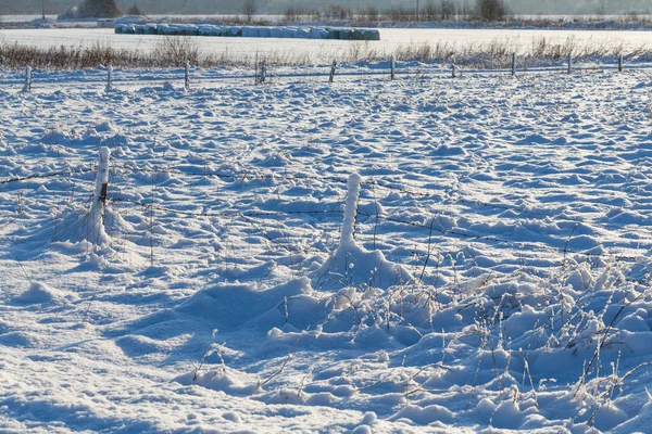 Ogrodzenie Drutu Kolczastego Pokrytym Śniegiem Gruntem Strzał Zimowy — Zdjęcie stockowe