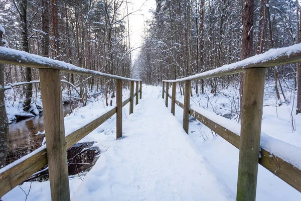 雪地森林中的木桥 — 图库照片