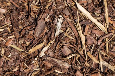 Wooden mulch ground's fragment as an abstract background composition clipart