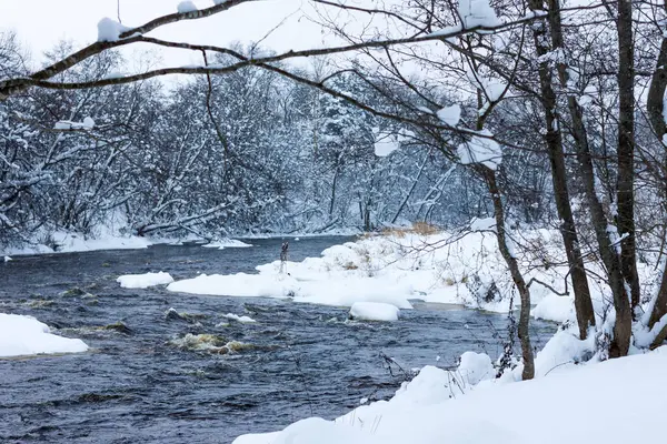 Winterlicher Waldfluss Unter Weißem Schnee — Stockfoto