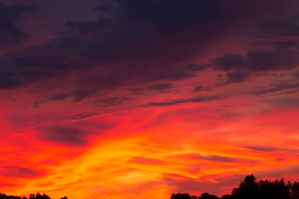 Червоне Небо Заходу Сонця Дуже Драматично Півночі Ввечері Над Лісом Ліцензійні Стокові Зображення