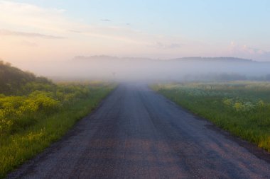 puslu kırsal yol alanında sis ile