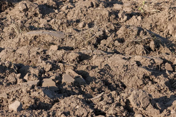 o taze tilled alanları çiftçilerin sonbaharda