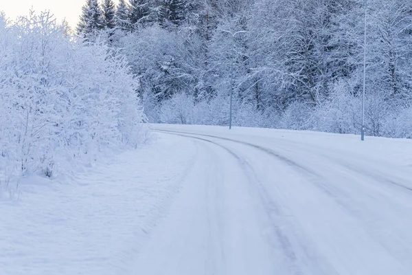 Vinter Kväll Skog Med Vägen Täckt Med Snö Solnedgången Stockbild