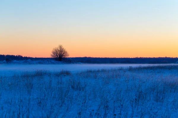 Litle 霧の夜の冬雪の農村風景 ロイヤリティフリーのストック画像