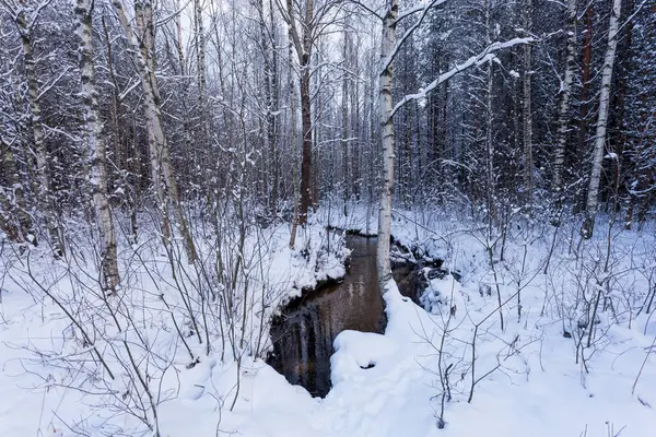 Frozen Stream Snowy Winter Forest — Stock Photo, Image
