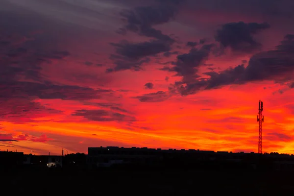 Cielo Rojo Atardecer Muy Dramático Norte Por Noche Sobre Bosque —  Fotos de Stock