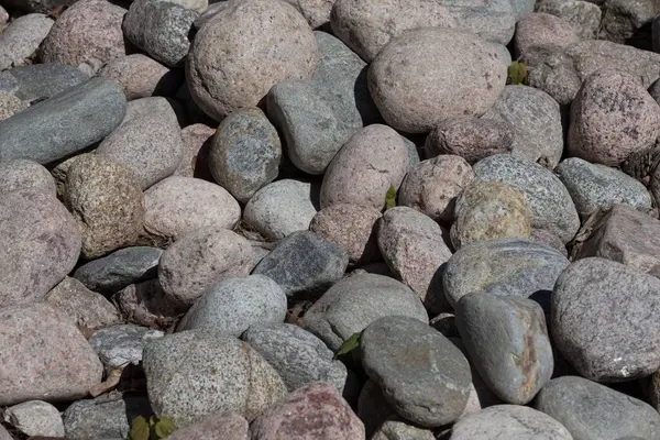 Группа Больших Гранитных Валунов Камней Гальки — стоковое фото