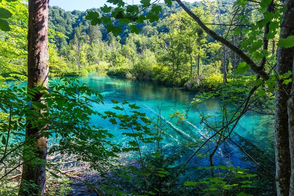 Berühmte Kroatische Plitvicer Seen Nationalpark Europa — Stockfoto