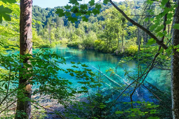 Beroemde Croatian Plitvice Lakes National Park Europa — Stockfoto