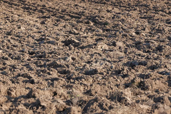 o taze tilled alanları çiftçilerin sonbaharda