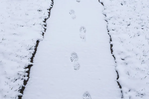 Schritte Auf Schneebedecktem Weg Mit Schneebedecktem Gras — Stockfoto