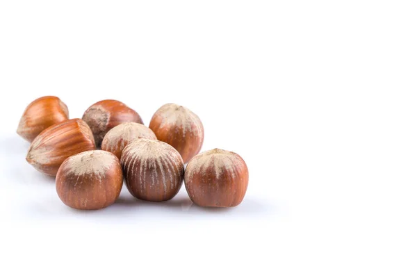 Hazelnuts Nuts Filberts Isolated White Background — Stock Photo, Image