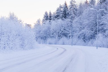 günbatımı sırasında kar - kış akşam orman yolu ile kaplı