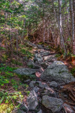 Appalachian Patikası boyunca Osgood Patikası 'nda bir gecelik yürüyüş.