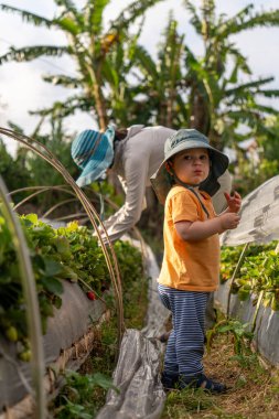 Toddler, Endonezya, Bali 'deki hayatının tadını çıkarıyor.