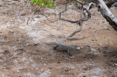 14 dalış SCUBA Trip