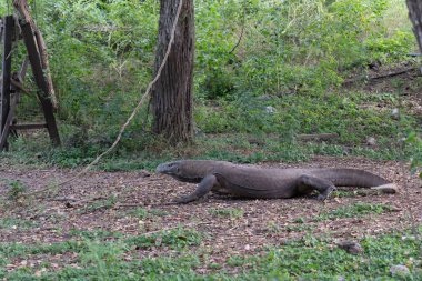 14 dalış SCUBA Trip