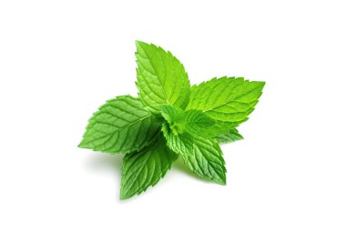 Beyaz arka planda izole edilmiş naneli bitki yapraklarının yakın görüntüsü.