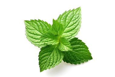Beyaz arka planda izole edilmiş naneli bitki yapraklarının yakın görüntüsü.