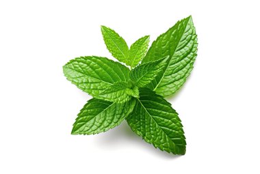 Beyaz arka planda izole edilmiş naneli bitki yapraklarının yakın görüntüsü.