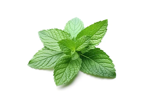 Close View Peppermint Herb Leaves Isolated White Background Stock Picture
