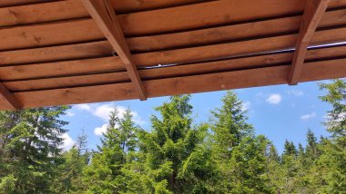 Büyük çatılı ahşap bir ev.