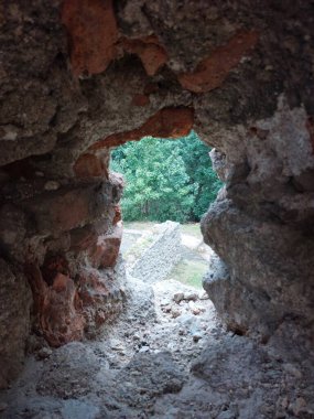 Ormanın ortasında bir delik olan taş bir duvar..