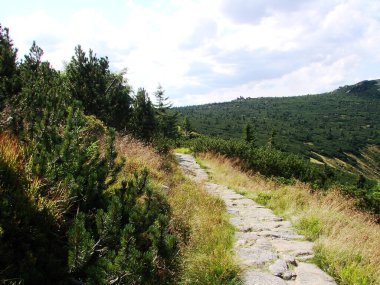 Karpatlar 'daki güzel dağ manzarası