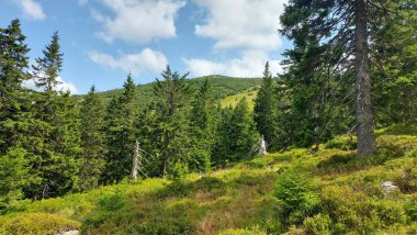Dağların güzel manzarası