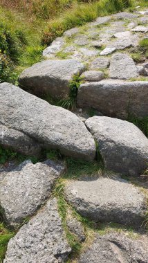 Parkta taş kaldırım