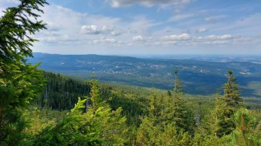 Yaz dağı manzarası, Ukrayna 'daki orman ve dağlar