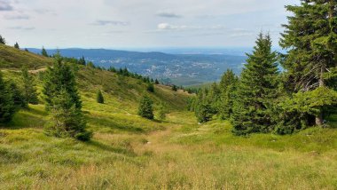 Karpatlar 'da dağ sırası olan güzel bir manzara.