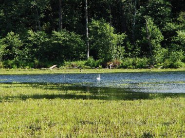 Gölün güzel manzarası