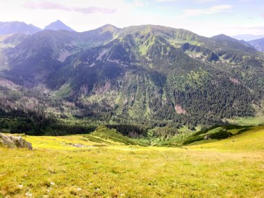 Çimenli, çayır ve mavi gökyüzü olan dağ sıraları