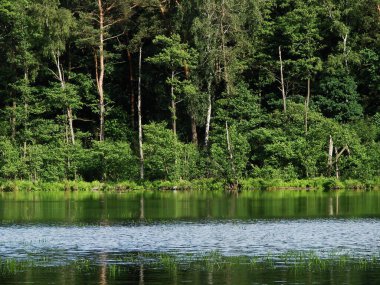 Güneşli bir yaz gününde Güzel bir göl
