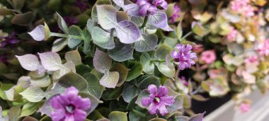 Plastikten yapılmış güzel renkli çiçekler, dekorasyonlar.