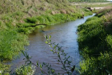 Rezervasyonda güzel bir doğa var. İnsan eli değmemiş doğa.