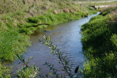 Rezervasyonda güzel bir doğa var. İnsan eli değmemiş doğa.