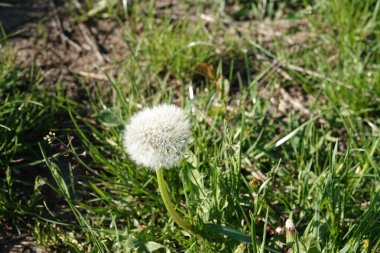 Rezervasyonda güzel bir doğa var. İnsan eli değmemiş doğa.