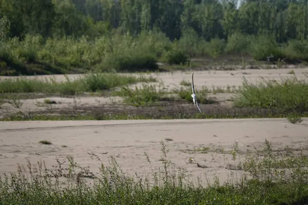 Rezervasyonda güzel bir doğa var. İnsan eli değmemiş doğa.