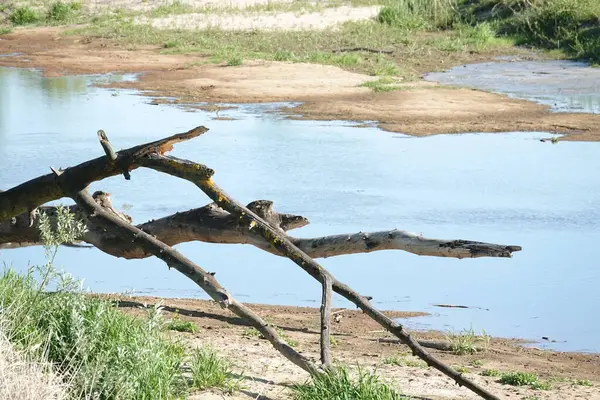 Rezervasyonda güzel bir doğa var. İnsan eli değmemiş doğa.