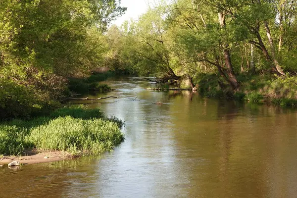 Rezervasyonda güzel bir doğa var. İnsan eli değmemiş doğa.